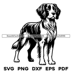 Brittany Spaniel Dog Standing / svg png dxf eps pdf / grafica vettoriale tagliata file laser clip art / download digitale istantaneo uso commerciale
