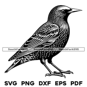 Stehender Star Design | svg png dxf eps pdf | Vektorgrafik Datei Laser Clip Art schneiden | sofortiger digitaler Download kommerzielle Nutzung