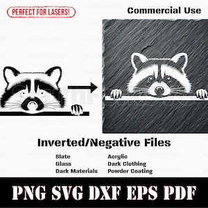 Guaxinim espiando invertido svg png dxf eps pdf | gráfico vetorial corte impressão gravação a laser gravura download instantâneo uso comercial