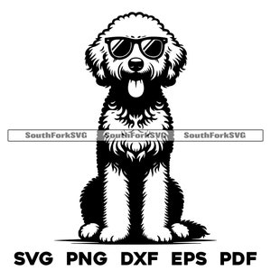 Goldendoodle Perro con gafas de sol Diseño / svg png dxf eps pdf / vector gráfico corte archivo láser clip art / descarga instantánea uso comercial