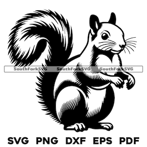 Fichiers de conception écureuil svg png dxf eps pdf | Conception graphique vectorielle découpée, impression, teinture, sous, gravure laser, cnc, fichiers numériques, utilisation commerciale