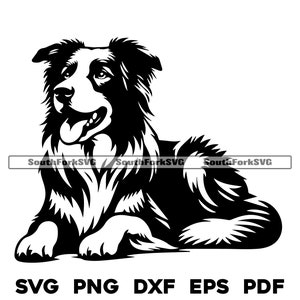 Border Collie Laying Design svg png dxf eps pdf / vector gráfico corte archivo láser clip art / descarga digital instantánea uso comercial
