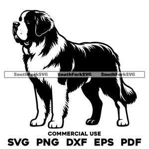 May include: Black and white silhouette of a Saint Bernard dog standing with its head turned to the left. The dog is facing the viewer and has a thick coat of fur.