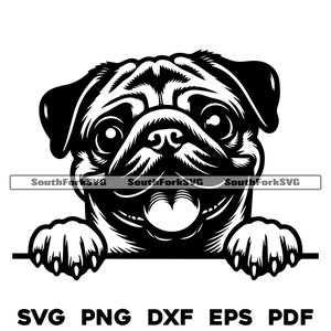 Spähender Mops Hund svg png dxf eps pdf | Vektorgrafik Datei Laser Clip Art schneiden | sofortiger digitaler Download kommerzielle Nutzung