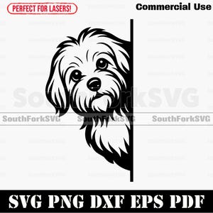 Peering Peeking Maltese Dog svg png dxf eps pdf | vector graphic cut file laser clip art instant digital download commercial use
