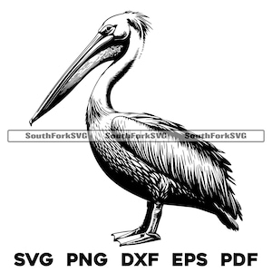 Pelikan Vogel Design | svg png dxf eps pdf | Vektorgrafik Datei Laser Clip Art schneiden | sofortiger digitaler Download kommerzielle Nutzung