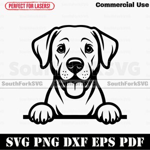 May include: A black and white line drawing of a Labrador Retriever dog. The dog is shown peeking over a line, with its paws visible. The image includes the text "Commercial Use" and "SVG PNG DXF EPS PDF".
