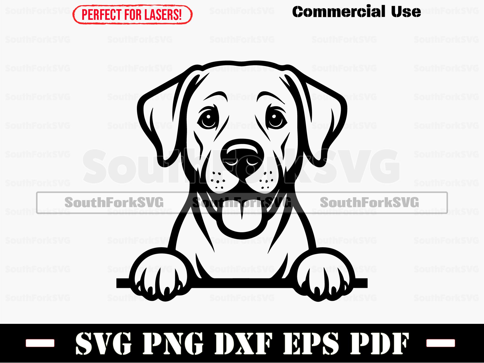 Peeking Labrador Retriever Dog Svg Png Dxf Eps Pdf | Vector Graphic Cut ...