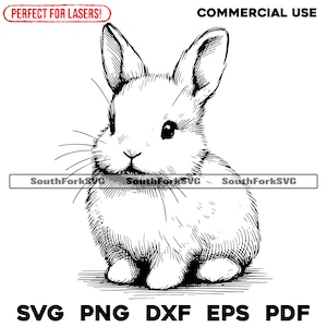 Lasergraveren bestand schattig konijntje svg png dxf eps pdf | vector grafisch ontwerp gesneden print dye sub laser cnc digitale bestanden commercieel gebruik