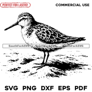File di incisione laser Sandpiper Bird svg png dxf eps pdf / grafica vettoriale design taglio stampa incisione a sublimazione cnc file digitali uso commerciale