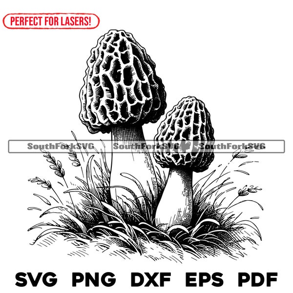 Morel Mushrooms Laser Engrave Files svg png dxf eps pdf | vector graphic design cut print dye sub cnc digital file commercial use