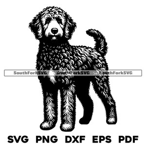 Conception debout de chien Goldendoodle | svg png dxf eps pdf | graphique vectoriel découpé fichier laser clip art | Téléchargement numérique instantané, utilisation commerciale