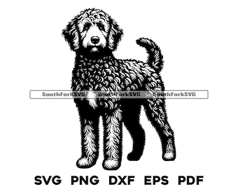 Goldendoodle Dog Standing Design | svg png dxf eps pdf | vector graphic cut file laser clip art | instant digital download commercial use