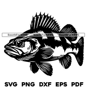 Walleye Cnc Router Files Walleye Graphic Svg Png Dxf Eps Pdf Laser Cnc Vinyl Cut Print Dye Sub ...