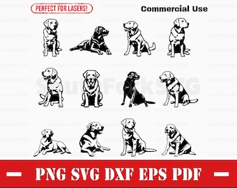 Simple Lab Labrador Retriever Bundle svg png dxf eps pdf | vector graphic cut file laser clip art instant download commercial use
