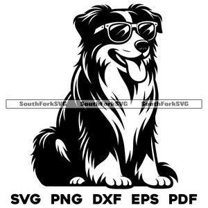 Australian Shepherd Wearing Sunglasses Design svg png dxf eps pdf | vector graphic cut file laser clip art | instant download commercial use
