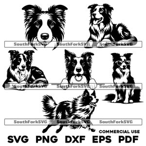 Border Collie Bundle 2 svg png dxf eps pdf | vector graphic cut file laser clip art | instant digital download commercial use