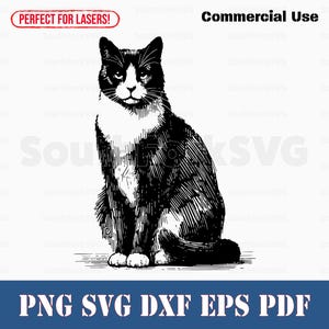 May include: Black and white line art illustration of a cat sitting with its tail curled around its legs. The cat has a white patch on its chest and a white stripe on its forehead.