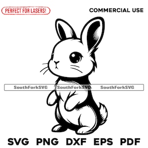 Cute Baby Bunny svg png dxf eps pdf | transparent vector graphic design cut print dye sub laser engrave files commercial use