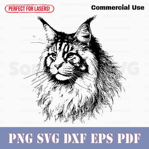 Maine Coon Katzenportrait svg png dxf eps pdf | Vektorgrafik Schnittdatei Laser gravieren ClipArt | sofortiger digitaler Download kommerzielle Nutzung