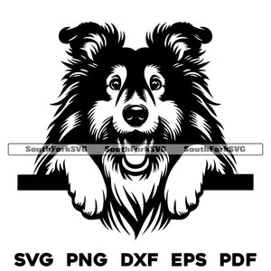 Peeking Collie Dog svg png dxf eps pdf | vector graphic cut file laser clip art | instant digital download commercial use