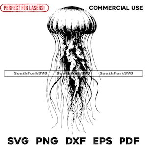 May include: Black and white line art illustration of a jellyfish with long tentacles.