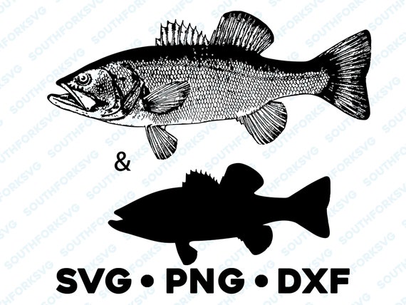 Largemouth Bass Fish SVG PNG DXF Pike Musky Walleye Perch Vector