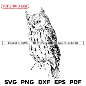 Fichier de gravure laser Screech Owl Bird Design svg png dxf eps pdf | clipart fichier coupe graphique vectoriel | Téléchargement numérique instantané, utilisation commerciale