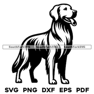Golden Retriever Standing Design | svg png dxf eps pdf | arquivo de corte de gráfico vetorial a laser clip art | download digital instantâneo uso comercial