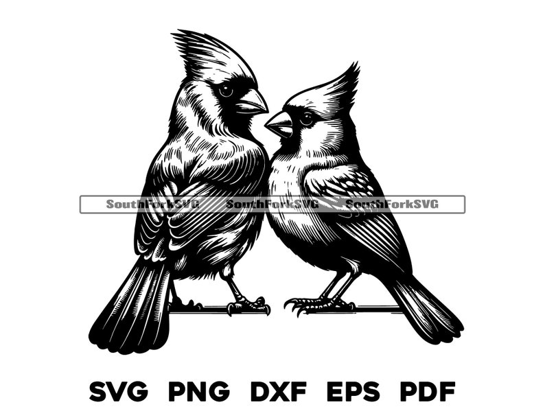 Male & Female Cardinals Design | Svg Png Dxf Eps Pdf | Vector Graphic ...