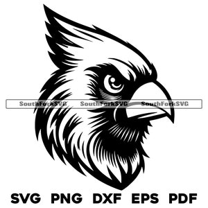 Cardinal Middle High School Sports Team Mascot  | svg png dxf eps pdf | vector graphics design cut print dye sub laser digital files
