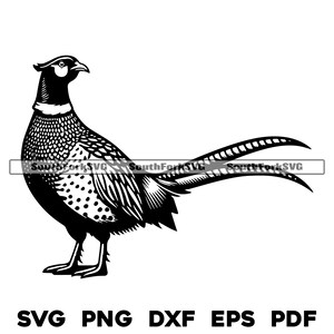 Stehender Fasan Design 2 svg png dxf eps pdf | Vektorgrafik Design Cut Print Dye sub Laser gravieren Cnc digitale Dateien Kommerzielle Nutzung