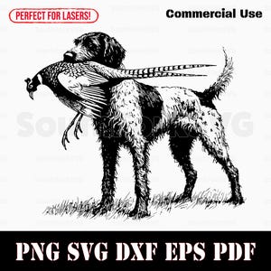 Deutscher Drahthaar Fasan Jagdhund | svg png dxf eps pdf | Kommerzielle Nutzung
