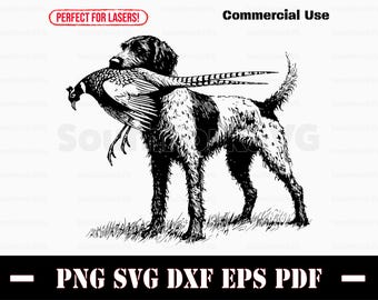Braco alemán de pelo duro, perro de caza de faisán / svg png dxf eps pdf / archivo de corte vectorial, clip art láser, descarga instantánea, uso comercial