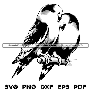 Lovebirds Bird Design / svg png dxf eps pdf / grafica vettoriale tagliata file laser clip art / download digitale istantaneo uso commerciale