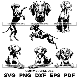 Paquete de diseños de razas de perros Vizsla svg png dxf eps pdf / archivo de corte gráfico vectorial clip art láser / descarga digital instantánea para uso comercial
