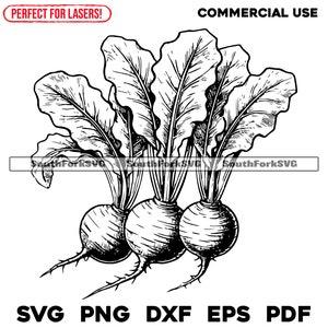 Fichiers de gravure laser Bouquet de betteraves svg png dxf eps pdf | Fichiers cnc graphiques découpés, impression à colorant, utilisation commerciale