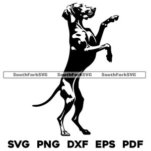 Vizsla Hund auf Hinterbeinen stehend svg png dxf eps pdf Vektorgrafik Schnittdatei Laser gravieren Clip Art Sofortiger digitaler Download Kommerziell nutzbar