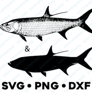 Tarpon SVG PNG DXF vector transparent  cameo silhouette cut file saying htv vinyl decal fishing hunting outdoors nature animal