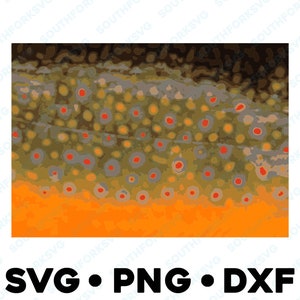 May include: Close-up of a brown trout fish with orange, brown, and grey scales. The fish has red spots on its body.