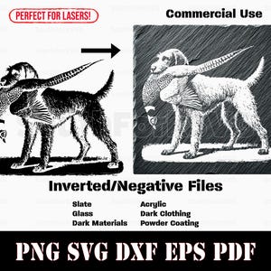 Op de afbeelding: Zwart-witte illustratie van een hond die een fazant in zijn bek draagt. De afbeelding is geschikt voor lasersnijden en is beschikbaar in de formaten PNG, SVG, DXF, EPS en PDF.