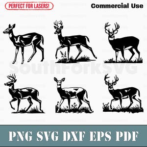 White Tailed Deer Bundle svg png dxf eps pdf laser cnc vinyl cut print dye sub files vector instant digital download commercial use