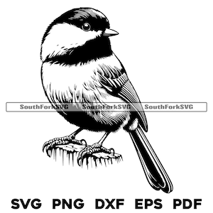 Carolina-mees met zwarte dop | svg png dxf eps pdf | vectorafbeelding snijbestand laserclipart | direct digitaal downloaden voor commercieel gebruik