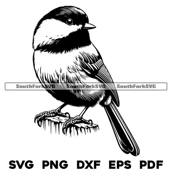Black Capped Carolina Chickadee | svg png dxf eps pdf | vector graphic cut file laser clip art | instant digital download commercial use