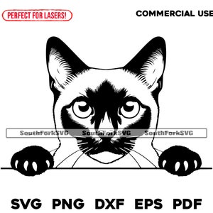 Design furtif chat siamois | svg png dxf eps pdf | graphique vectoriel découpé fichier laser clip art | Téléchargement numérique instantané, utilisation commerciale