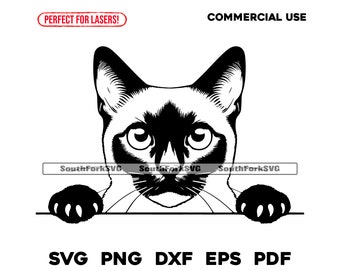 Siamese Cat Peeking Design | svg png dxf eps pdf | vector graphic cut file laser clip art | instant digital download commercial use