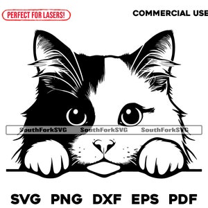 Glückskatze, die Design späht | svg png dxf eps pdf | Vektorgrafik Datei Laser Clip Art schneiden | sofortiger digitaler Download kommerzielle Nutzung
