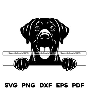Peeking Black Labrador Retriever Dog svg png dxf eps pdf / vector gráfico corte archivo láser clip art descarga digital instantánea uso comercial