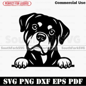 Peeking Rottweiler Dog svg png dxf eps pdf | vector graphic cut file laser clip art instant digital download commercial use