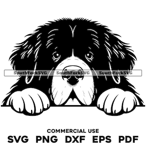 Spähender Neufundländer Hund Kopf Design svg png dxf eps pdf | Vektorgrafik Datei Laser Clip Art schneiden | sofortiger digitaler Download kommerzielle Nutzung